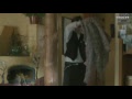 Whole New Thing (Spanish Subtitles) Short