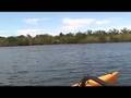 videos de Bait Fish Get Mauled While Kayak Sailing