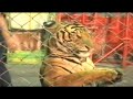 animal mix