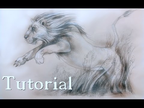how to draw a lion