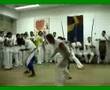 Ver Video