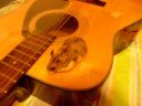 Squish Plays Guitar Squish Plays Guitar