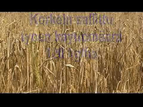 Katso video