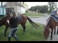 Lenka & Alice / fun with horses Lenka & Alice / fun with horses