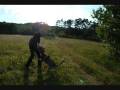 videos de Biki son maître & negro 69 LA TRIK.wmv