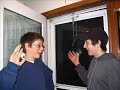 The House Plant Song The House Plant Song