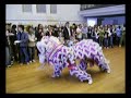 international night lion dance