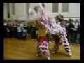 international night lion dance