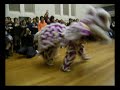 international night lion dance