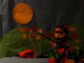 videos de once I caught a fish alive puppet show