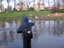 bird flu sensible precaution
