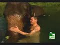 Jeff Corwin and the Psychic Elephant Jeff Corwin and the Psychic Elephant