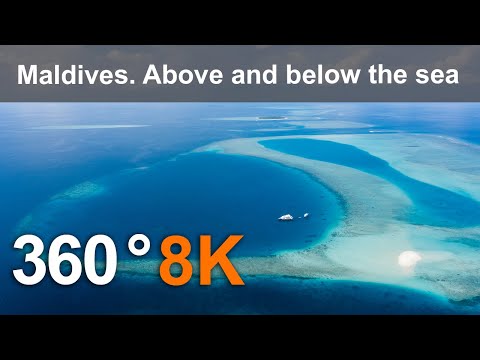 Maldives. Above and below the sea. Aerial and underwater 360 video in 8K. Virtual travel - YouTube