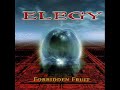 Icehouse - Elegy