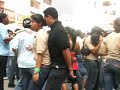 verbena ISA 2 verbena ISA 2