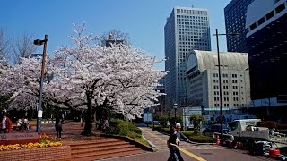 Walking in Tokyo 東京でウォーキング   