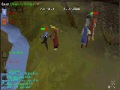castle wars mage