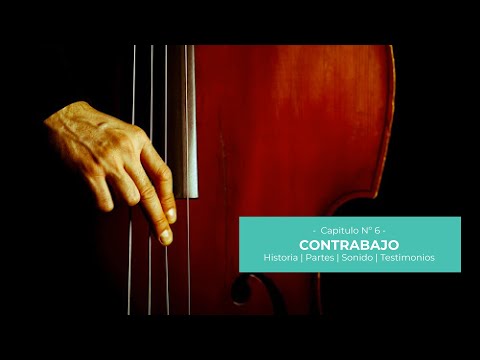 Iniciación Musical | Capitulo 6: Contrabajo