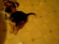 videos de Picture 241