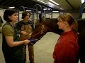 Becoming a Veterinarian, Part 3: Getting to the Good Stuff