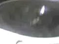 SONIDO DEL CHONO
