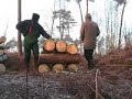 Forstunfall 2