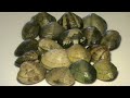Receta de CocinaPochas con almejas