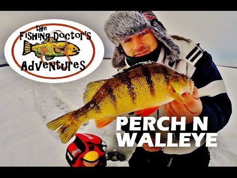 how to locate perch ice fishing
