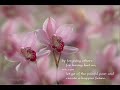 Chú Dược Sư Lưu Ly - Medicine Buddha healing Mantra Chanting