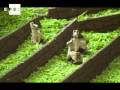 Ciudadela de Machu Picchu de 160 kilos de chocolate endulza la navidad limeña .