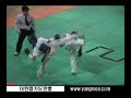 King of Hapkido