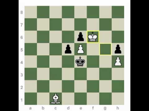 chess games