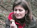 Truffle Hunting in Tuscany