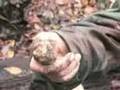 Truffle Hunting in Tuscany