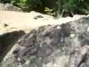 kevin and nick jump from the run