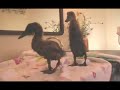 Hot Young WET Chicks Havin´ Fun!!