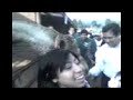 zoologico de amecameca (puebla)