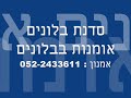 סדנת בלונים