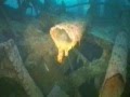 Wreck-diving on Dronning Maud