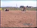 Our gymkhana 10/2 \"Here for the Party\"