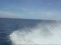 Honduras-Islas de la Bahia-Guanaja