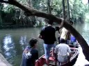 Piquete dos Silveiras