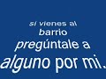 Un erizo como yo