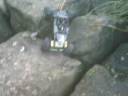 custom tuber caged axial ax10 custom tuber caged axial ax10