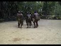 Waradengdeng Dance, Ambrym, Vanuatu