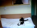 Quarto em Debrecen