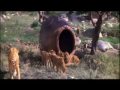 King Solomons Mines (1985) Clip 5 King Solomons Mines (1985) Clip 5