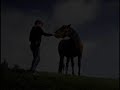 ballad-of-a-runaway-horse-emmylou-harris.html