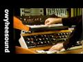 ARP AXXE + minimoog