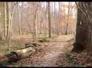 mtn biking at mckeldin
